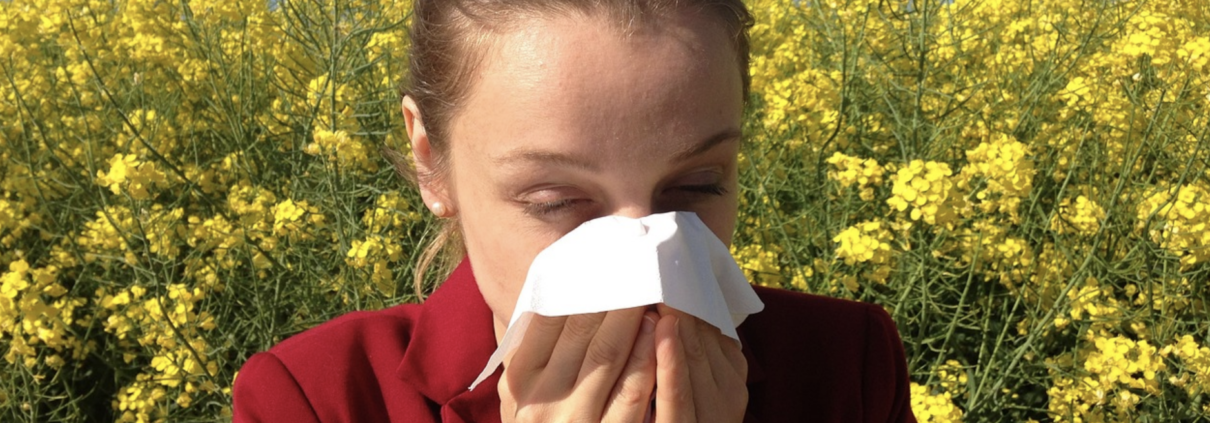 Natural Remedies for Allergy Relief