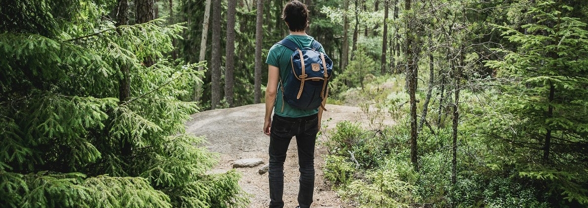 When taking a walk in nature, you experience the benefit of forest bathing.