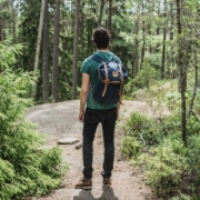 When taking a walk in nature, you experience the benefit of forest bathing.