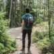 When taking a walk in nature, you experience the benefit of forest bathing.