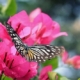 Spring blooms can leave you feeling uncomfortable. Handle troublesome allergy symptoms and embrace the season with these natural approaches.  