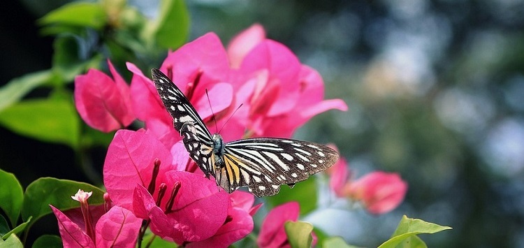 Spring blooms can leave you feeling uncomfortable. Handle troublesome allergy symptoms and embrace the season with these natural approaches.  