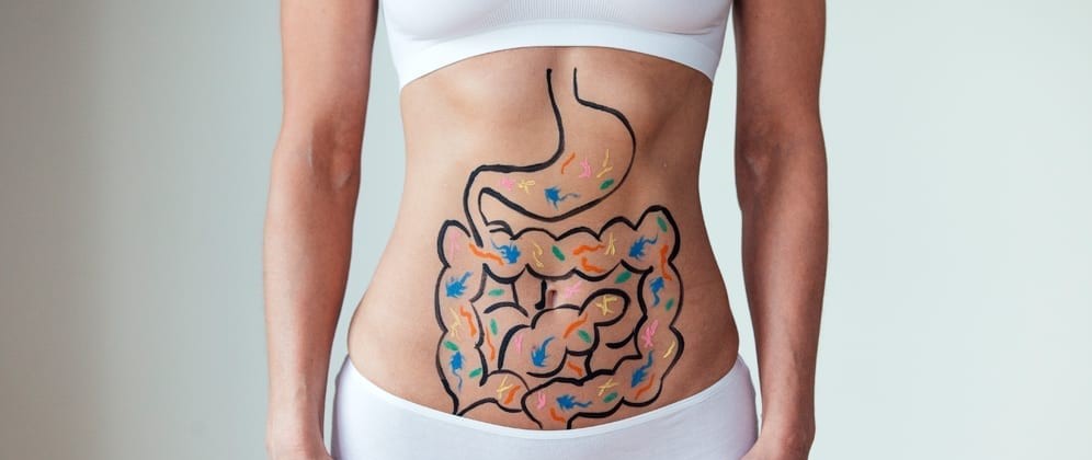 There is a whole ecosystem, a world, in your belly and it influences your body's function, even contributing to weight gain.
