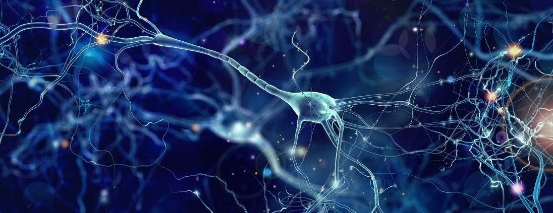 Rather than manage your stress, you may find greater benefit if you increase your stress resistance with your vagus nerve.