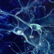 Rather than manage your stress, you may find greater benefit if you increase your stress resistance with your vagus nerve.