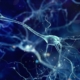 Rather than manage your stress, you may find greater benefit if you increase your stress resistance with your vagus nerve.